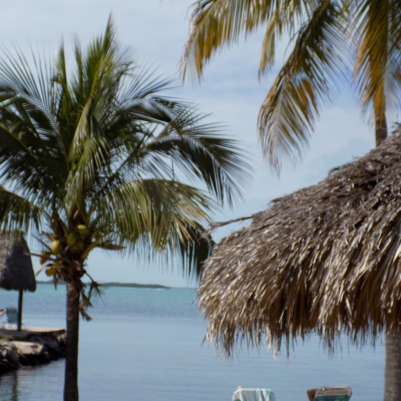 Meet your Posher JoAnne - Picture 1 of 2